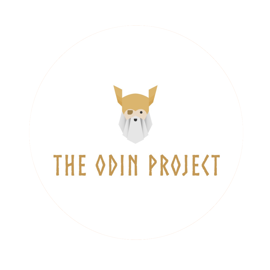 The Odin Project